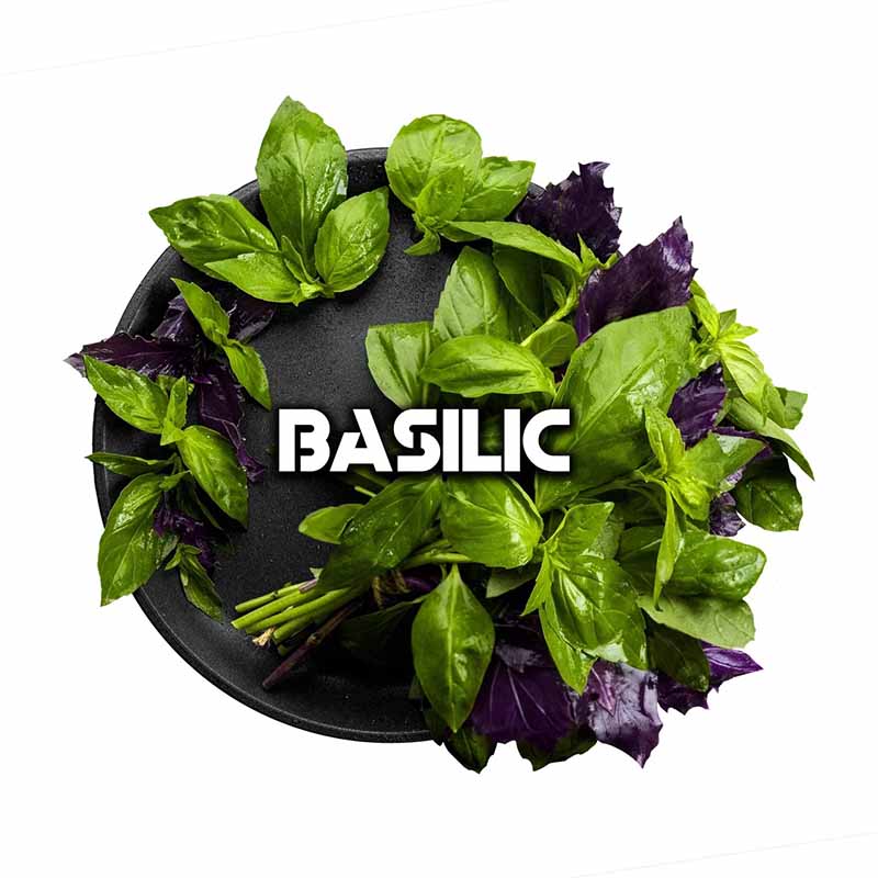 Табак для кальяна Black Burn - Basilik (Базилик) 25г