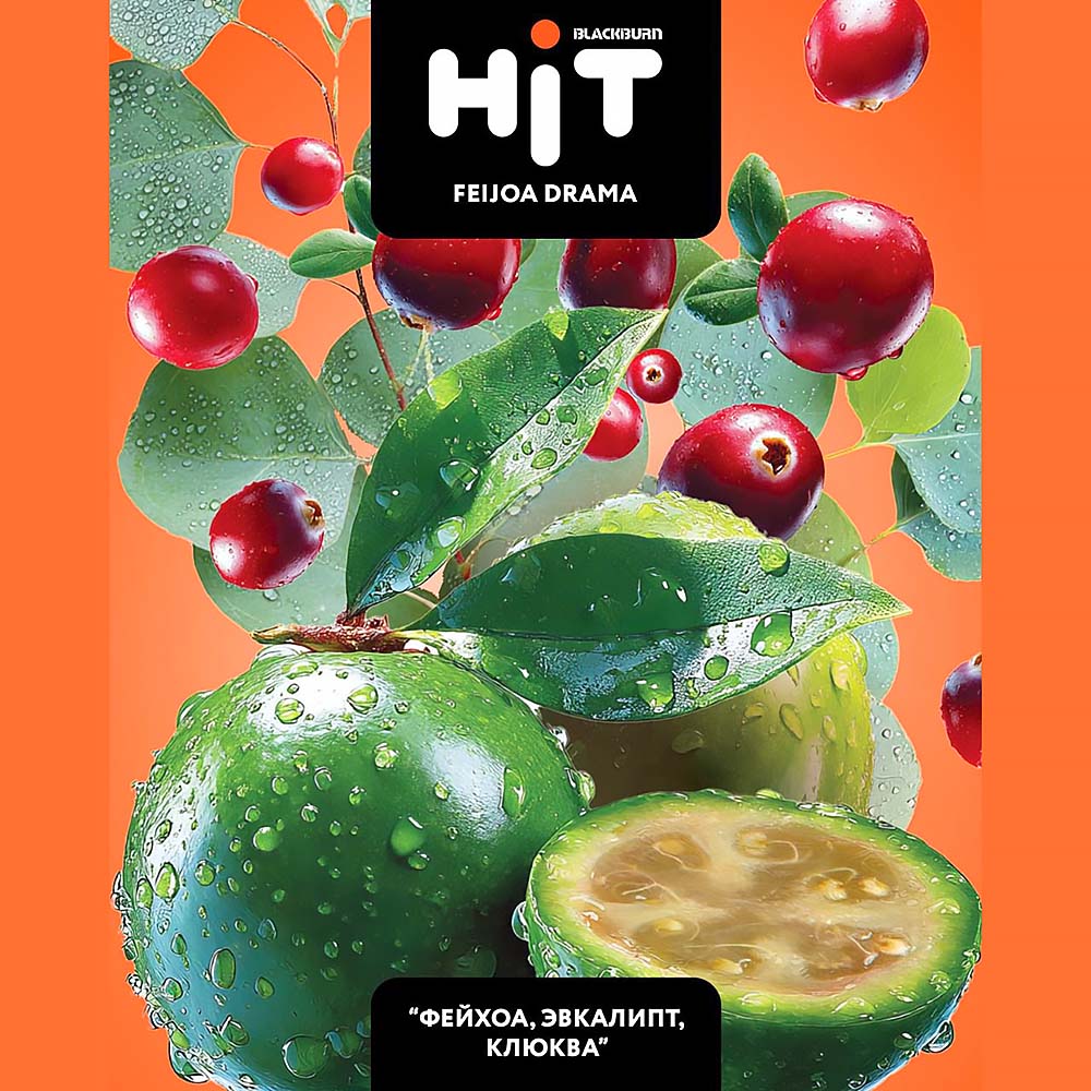 Табак для кальяна BLACKBURN HiT - Feijoa Drama (Фейхоа Эвкалипт Клюква) 30г